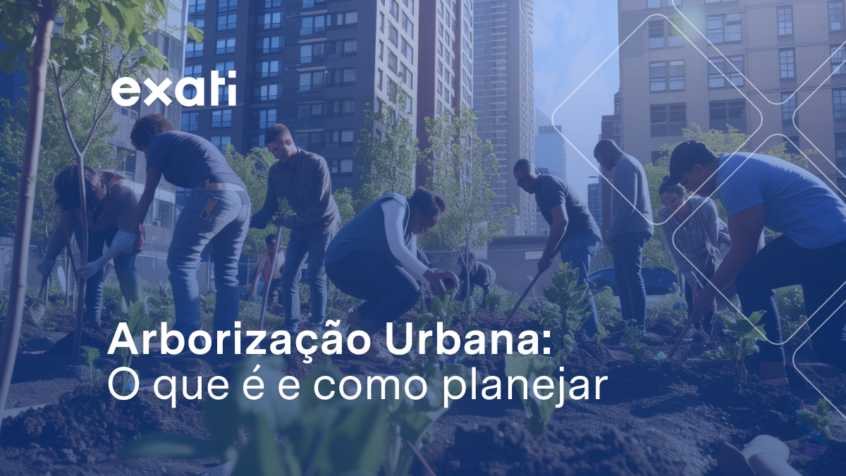 Arborização urbana: O que é e como planejar